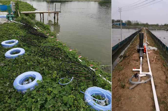 水产养殖中罗茨鼓91香蕉视频下载安装曝氧气作用效果明显好