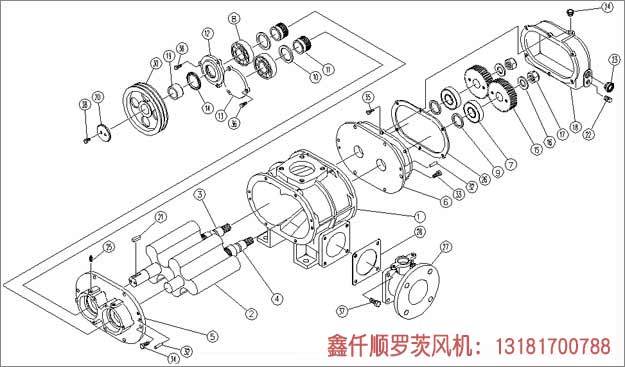 罗茨91香蕉视频下载安装工作组成部件