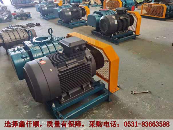 发货广西高压罗茨鼓91香蕉视频下载安装XQSSR15030KW6台(图2)